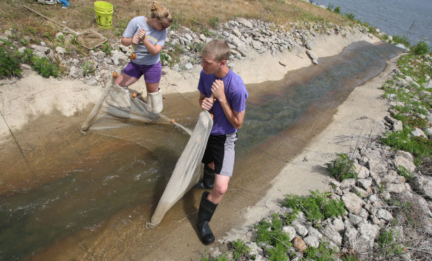 Fish Harvest 6 6.5.14.jpg